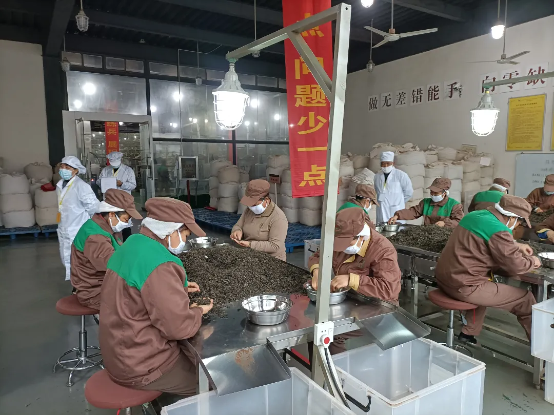 精益求精·鑄造品質(zhì)|六大茶山第十四屆技術(shù)大比武圓滿(mǎn)完成