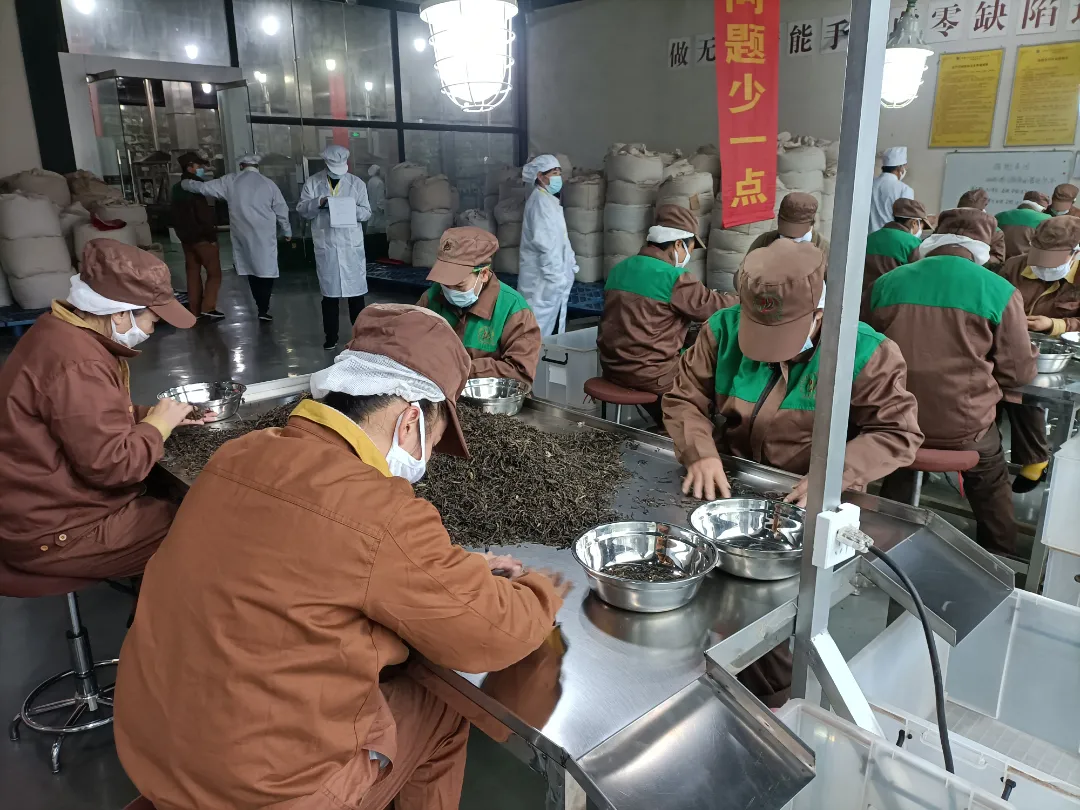 精益求精·鑄造品質(zhì)|六大茶山第十四屆技術(shù)大比武圓滿(mǎn)完成