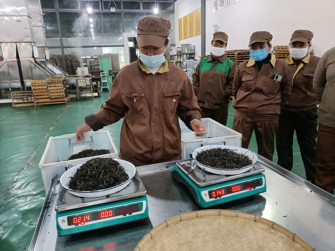 精益求精·鑄造品質(zhì)|六大茶山第十四屆技術(shù)大比武圓滿(mǎn)完成