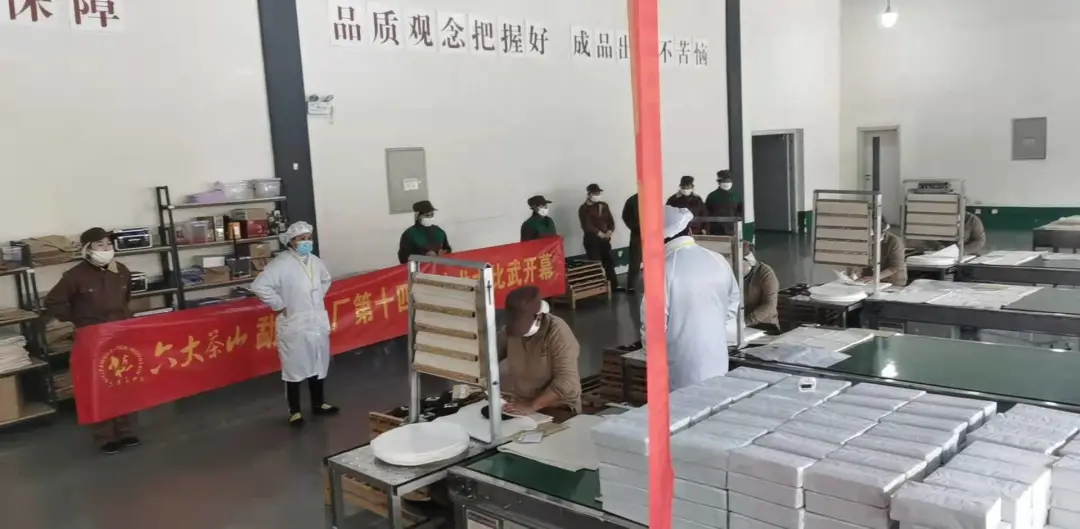 精益求精·鑄造品質(zhì)|六大茶山第十四屆技術(shù)大比武圓滿(mǎn)完成