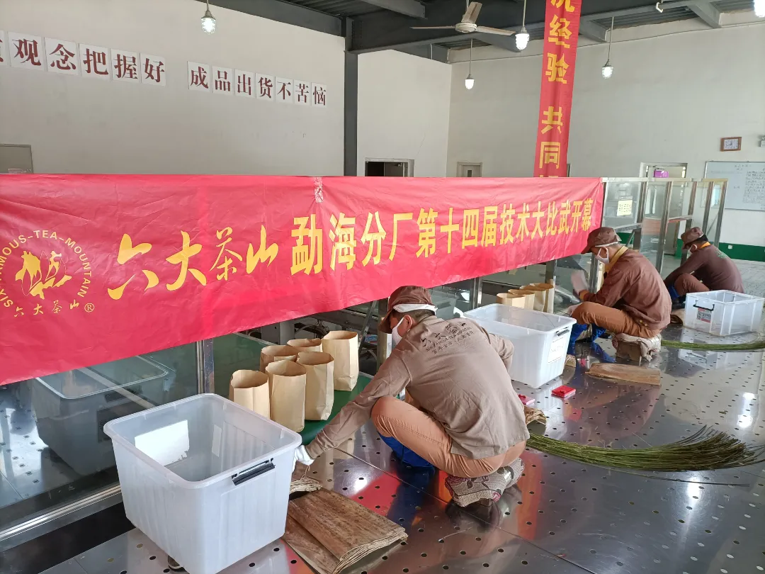 精益求精·鑄造品質(zhì)|六大茶山第十四屆技術(shù)大比武圓滿(mǎn)完成