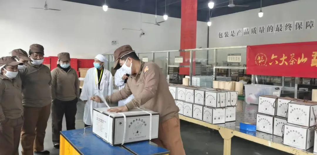 精益求精·鑄造品質(zhì)|六大茶山第十四屆技術(shù)大比武圓滿(mǎn)完成